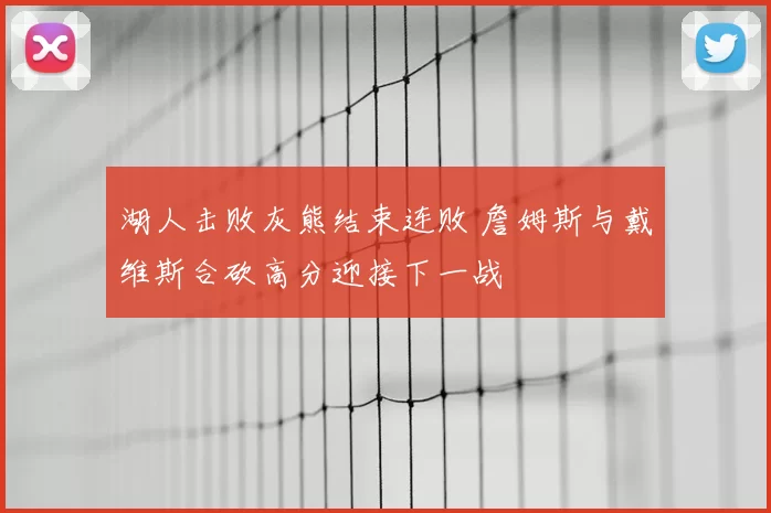 湖人击败灰熊结束连败 詹姆斯与戴维斯合砍高分迎接下一战