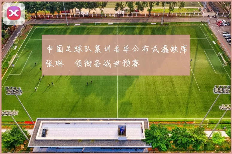 中国足球队集训名单公布武磊缺席张琳芃领衔备战世预赛