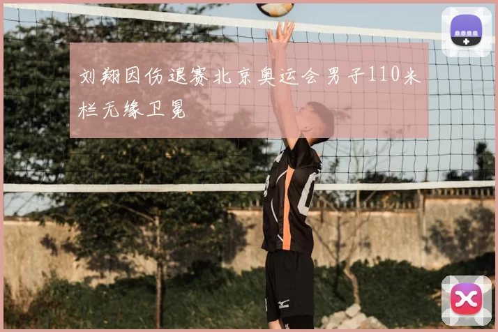 刘翔因伤退赛北京奥运会男子110米栏无缘卫冕